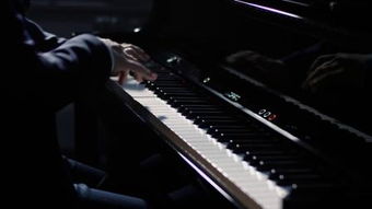 數碼鋼琴與鋼琴 現代演奏的雙重奏